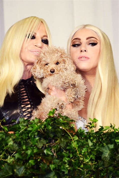 lady gaga and donatella versace relationship|gaga donatella.